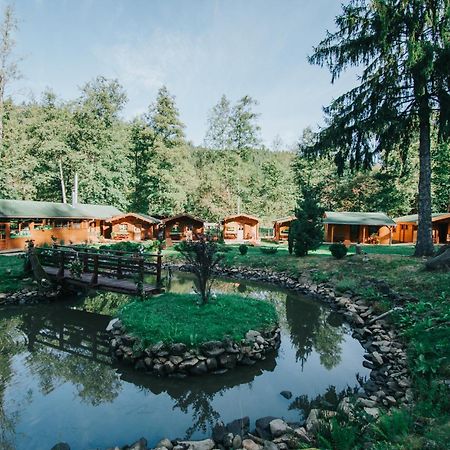 Vidra Park Hotell Sicasău Eksteriør bilde