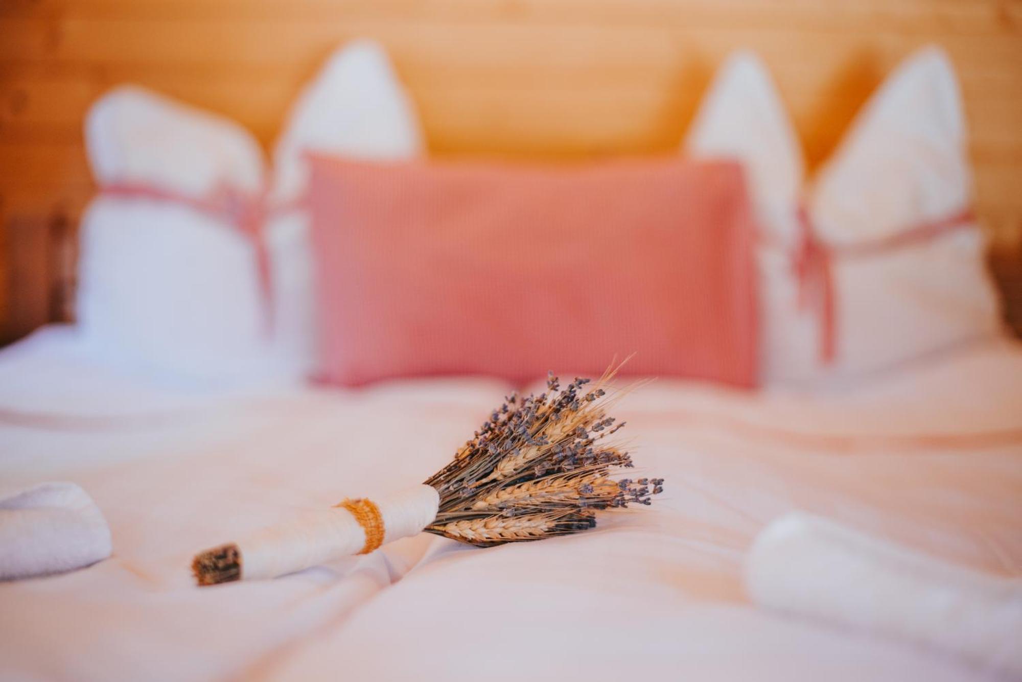 Vidra Park Hotell Sicasău Eksteriør bilde
