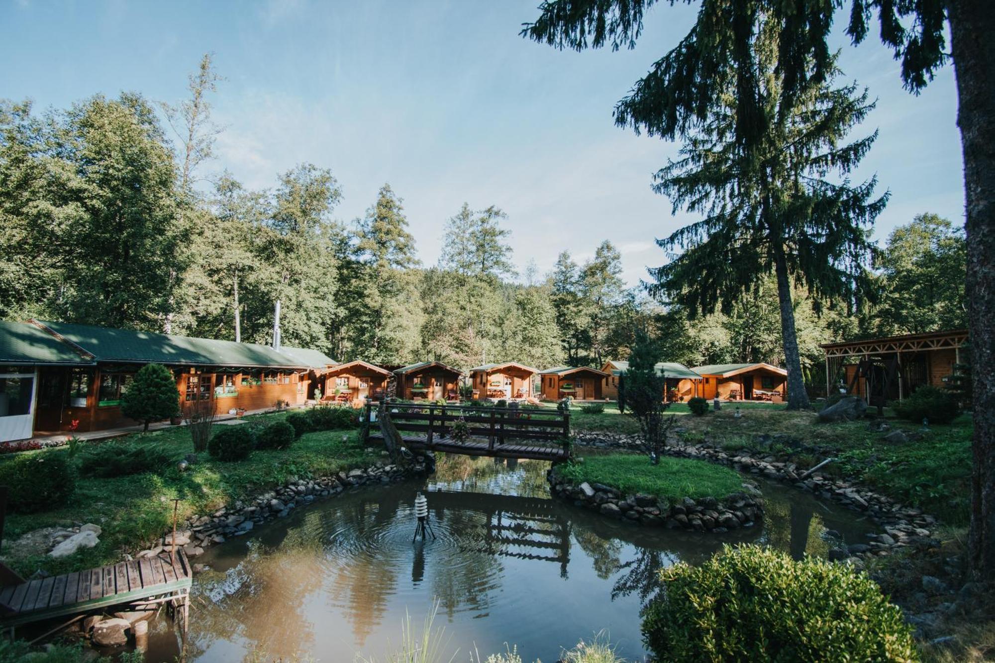Vidra Park Hotell Sicasău Eksteriør bilde