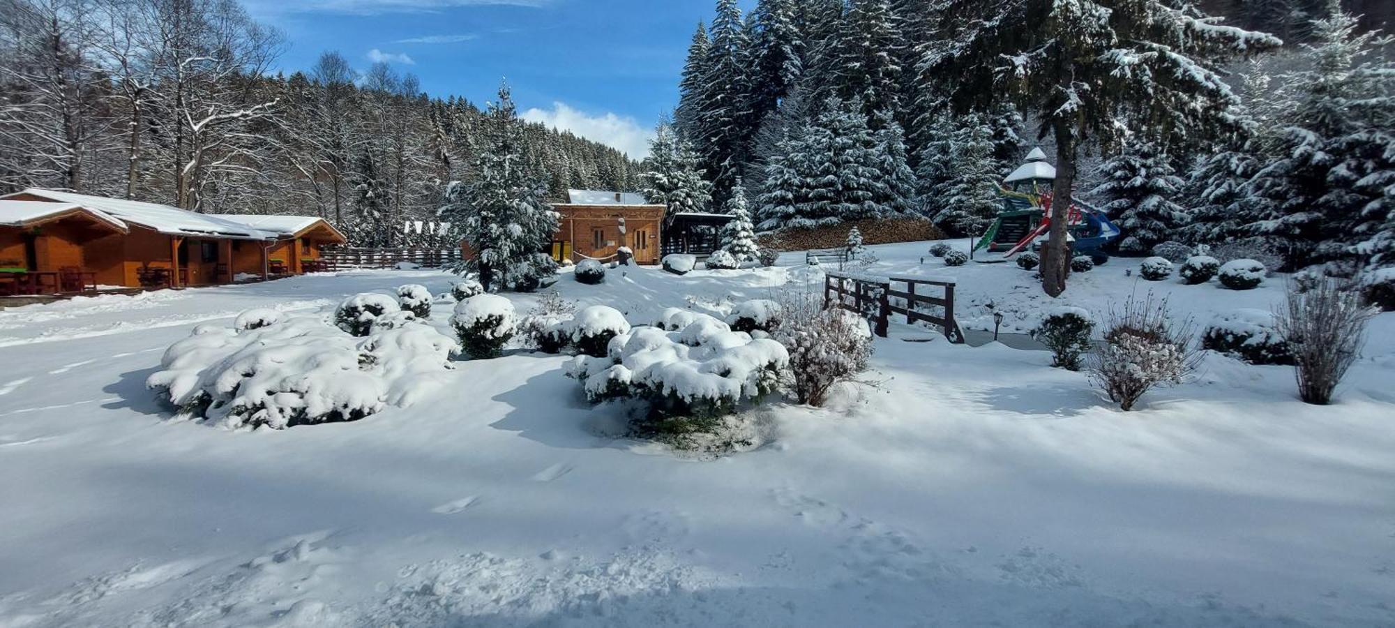 Vidra Park Hotell Sicasău Eksteriør bilde