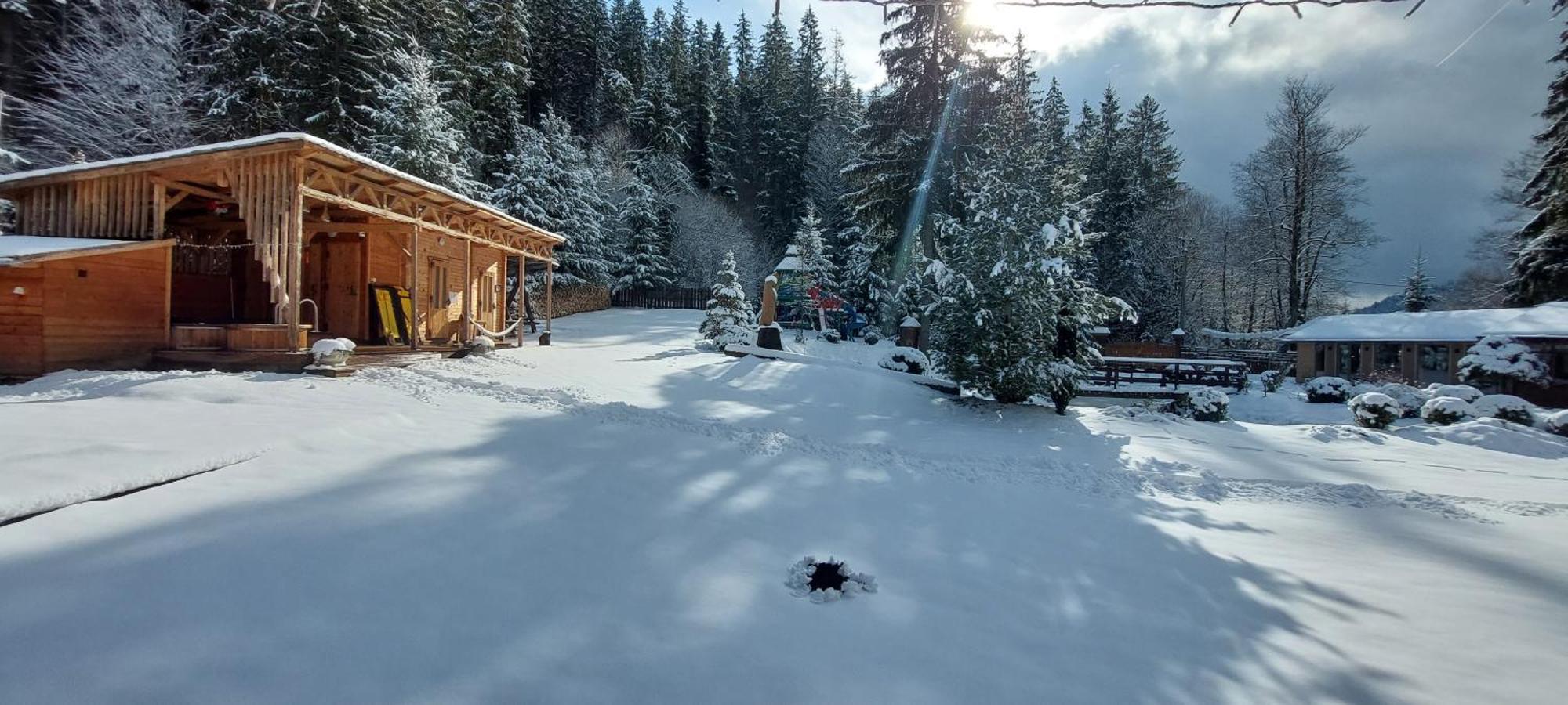 Vidra Park Hotell Sicasău Eksteriør bilde